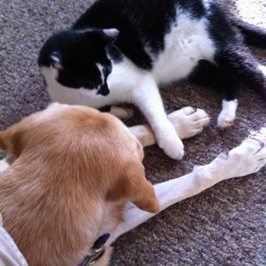 Meet your Posher, Julia